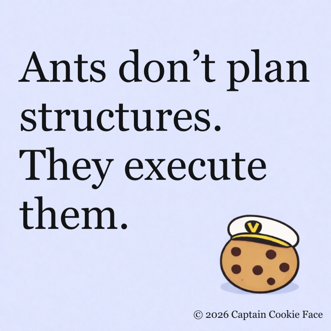 Ants Don’t Plan